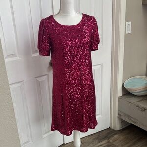 Cable & Gauge Pink Sequin Mini Dress
